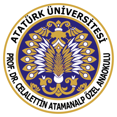 Ataturk university