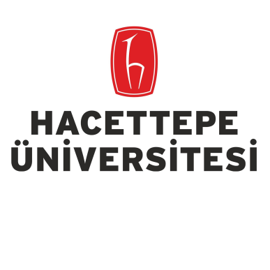 Hacettepe university